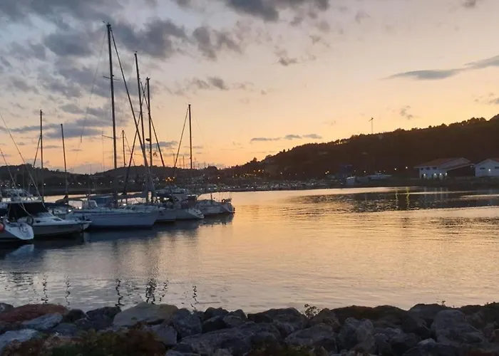 Soja Park - Marinera Vut-7365-as *