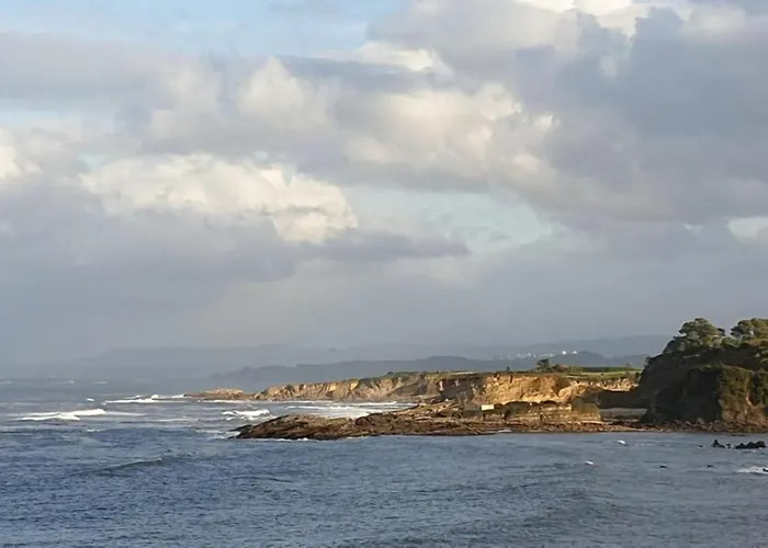 Soja Park - Marinera Vut-7365-as